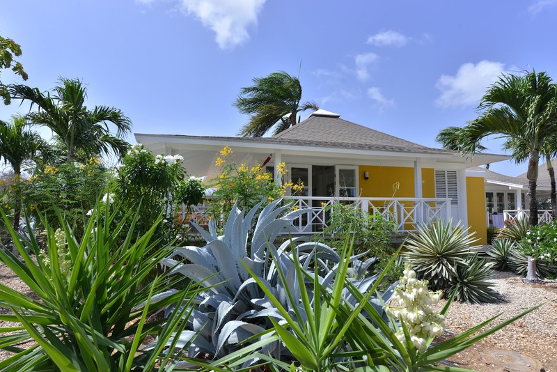 Utopia Curacao