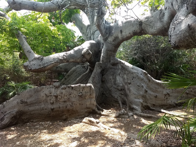 Hofi Pastor Park